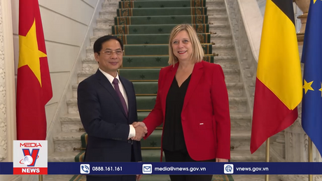 Việt Nam mong muốn mở rộng quan hệ nhiều mặt với Bỉ