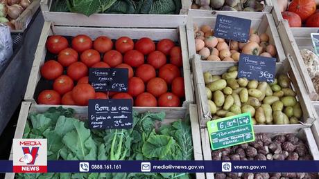 Chỉ số giá lương thực thế giới thấp nhất trong gần 3 năm