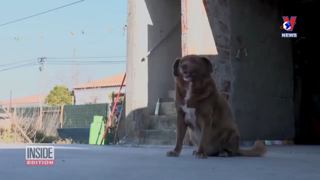 Khoảnh khắc & Sự kiện ngày 04/02/2024