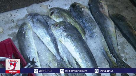 Ngư dân Quảng Bình phấn khởi bội thu chuyến biển cuối năm