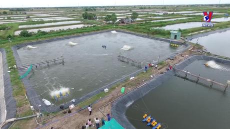 Bản tin tiếng Tây Ban Nha ngày 5/2/2024