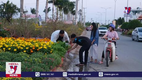 Nhộn nhịp chợ hoa miễn phí mặt bằng cho người bán ở Cần Thơ 