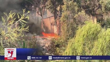 Hàng chục người thiệt mạng do cháy rừng ở Chile