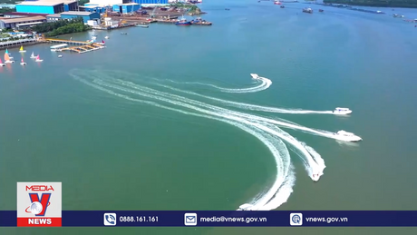 Phim tài liệu: Khám phá Vịnh Sông Dinh