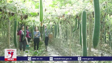 Phát huy vai trò đảng viên trong phát triển kinh tế ở vùng cao