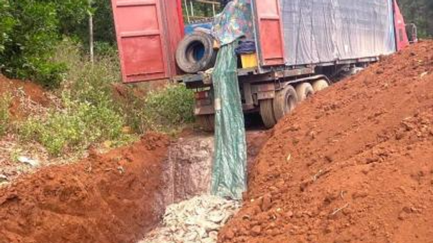 Khởi tố bị can trong vụ vận chuyển cá tầm trái phép qua cửa khẩu