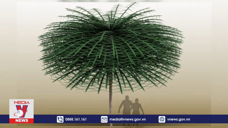 Phát hiện cây 'ngoài hành tinh' ở trái đất