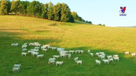 Việt Nam với bạn bè quốc tế: Quan hệ hữu nghi và hợp tác Việt Nam - Cộng hòa Séc