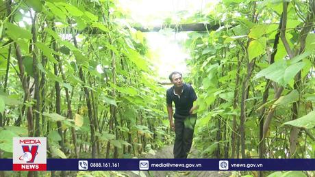 Vựa rau Hồng Thủy vào vụ Tết