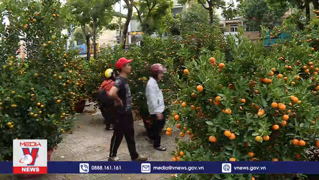 Thị trường hoa tết tại Đà Nẵng trầm lắng