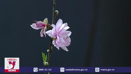 Sắc xuân trên biên cương Tổ quốc