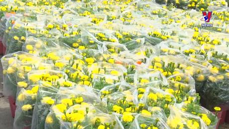 Nhật trình kinh tế ngày 07/2/2024