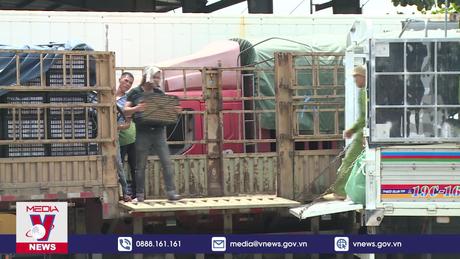 Thủ tướng yêu cầu tăng xuất khẩu nông sản bằng đường sắt qua Trung Quốc