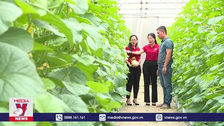 Phủ xanh dòng vốn tín dụng