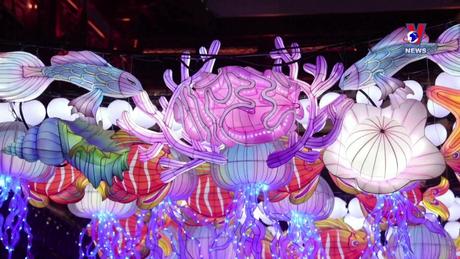 Thú vị năm châu ngày 08/02/2024