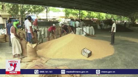 Tiềm năng xuất khẩu gạo Việt Nam vào Philippines