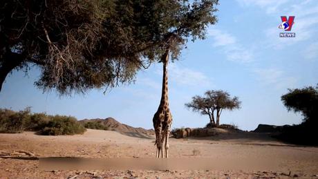 Tạp chí toàn cầu số 869 ngày 08/02/2024