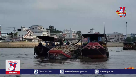 Chợ nổi Cái Răng vắng khách ngày 30 Tết 