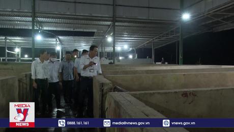 Hậu Giang tăng cường kiểm tra các cơ sở giết mổ gia súc