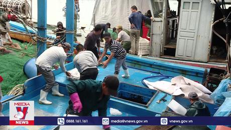 Ngư dân đón tết trên biển