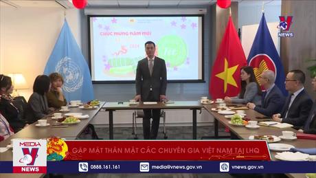 Gặp mặt thân mật các chuyên gia Việt Nam tại LHQ