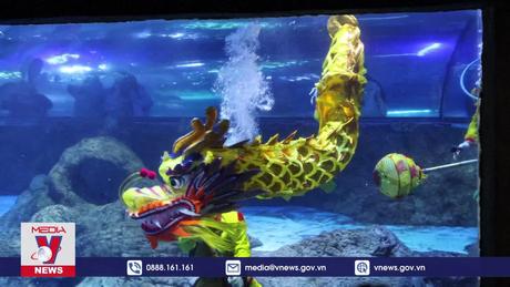 Năm con Rồng – Năm thỏa sức sáng tạo