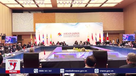 Thế giới 360: Vươn xa Việt Nam - Cây tre nâng bước