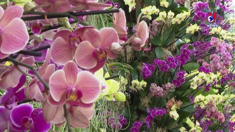 Con số trong tuần ngày 10/2/2024