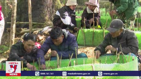 Tết đặc biệt của người Xê Đăng ở Kon Tum