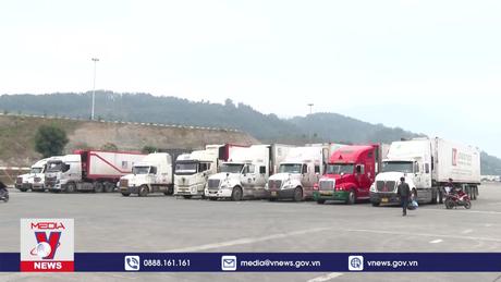 Sôi động ngày đầu năm mới tại cửa khẩu Lào Cai