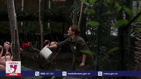 Vườn thú ở Ukraine bảo đảm nguồn cung thực phẩm