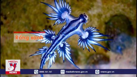 Tìm hiểu những động vật có 