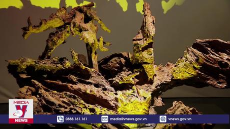 Nghệ thuật điêu khắc ánh sáng