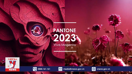 Thông điệp ý nghĩa từ Màu sắc của năm 2024