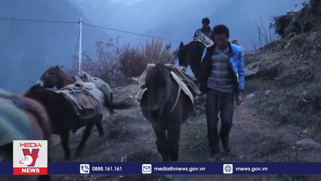 Năm Thìn, đến thăm vùng đất rồng 