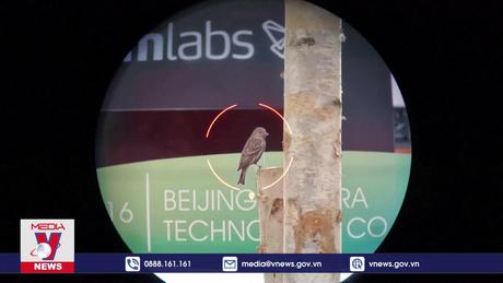 Ứng dụng AI trong nhận diện cá thể loài 