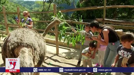 Vườn thú độc đáo mang thiên nhiên đến với đô thị Venezuela
