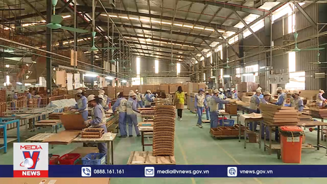 Sản xuất xanh tấm thẻ visa cho ngành gỗ