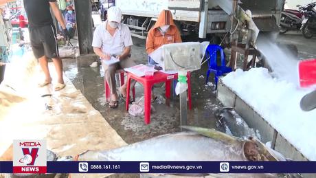 Xuất khẩu cá ngừ sang Trung Đông đạt mức cao