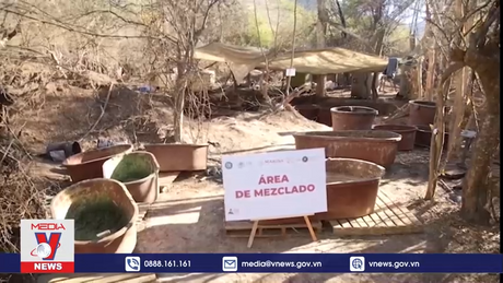 Mexico triệt phá ổ ma túy lớn nhất