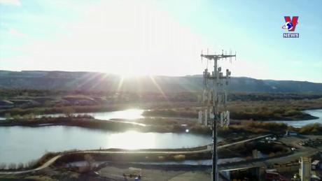 Thông điệp lịch sử: William Shockley và cuộc cách mạng từ chất bán dẫn