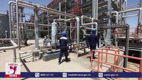 Saudi Arabia công bố lý do dừng kế hoạch tăng sản lượng dầu thô khai thác