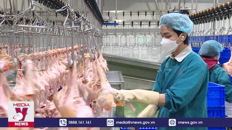 Không xảy ra thiếu hàng, sốt giá trong những ngày Tết