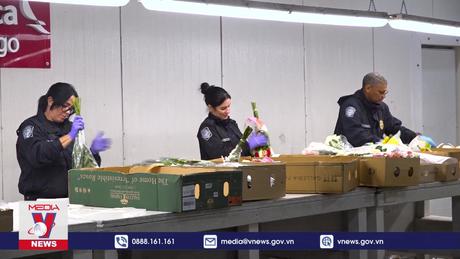 Hàng chục nghìn tấn hoa tươi nhập cảnh Mỹ dịp Valentine