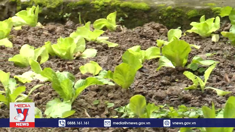 Lợi ích kép từ lối sống xanh