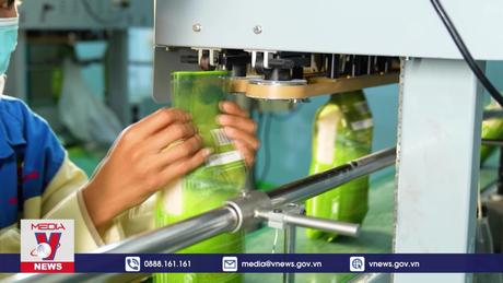 Gạo Việt trên đỉnh thế giới – Câu chuyện sản xuất bền vững