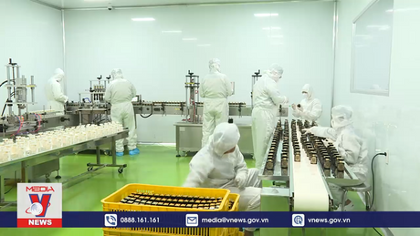 Doanh nghiệp TP.HCM khởi động nhanh đầu năm mới