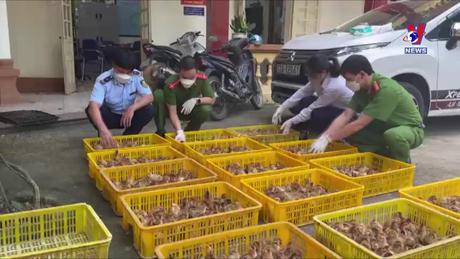 Đường dây nóng 389 ngày 15/02/2024