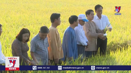 Hậu Giang phát động Tết trồng cây và thăm đồng đầu năm