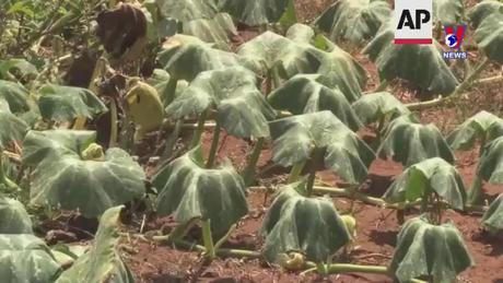 Tương lai xanh ngày 15/02/2024